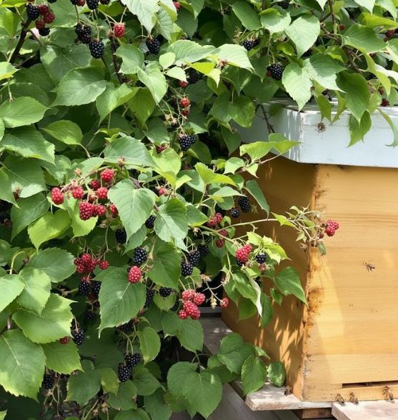 ostružiny a úl min